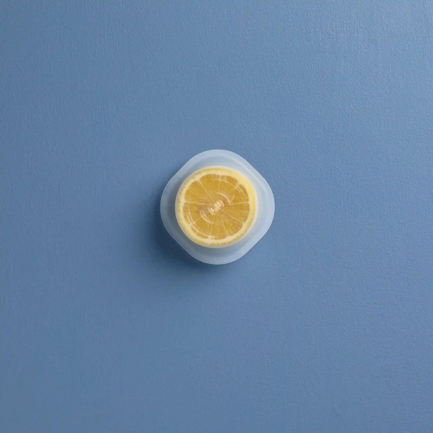 Small Circle Stretch Lids 3-Pack